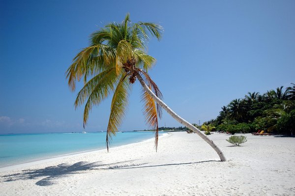 Séjours Accessibles : Hébergements Sur Mesure pour les Personnes à Mobilité Réduite