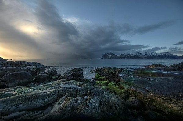 Aventures Inoubliables en Famille : Vivez des Moments Merveilleux en Croisière